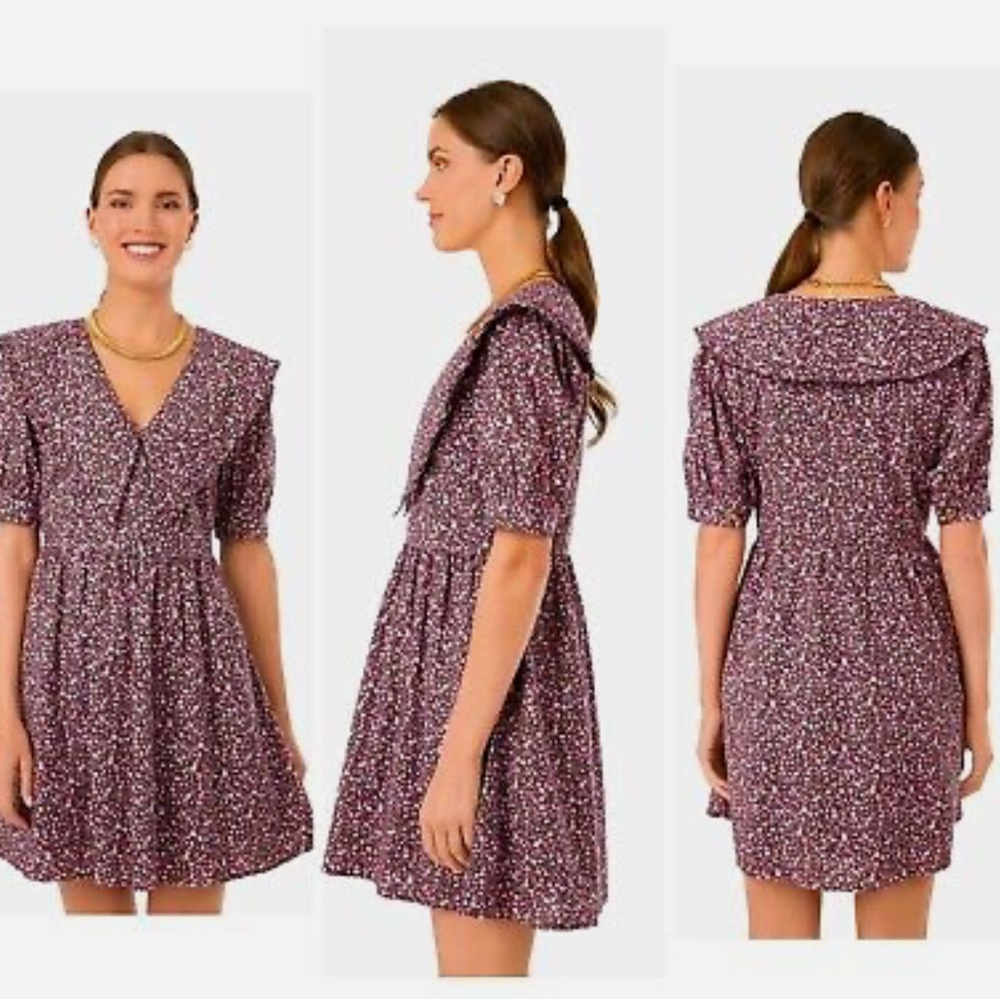 Hyacinth House Maroon Ruffle Collar Sadie Mini Dress